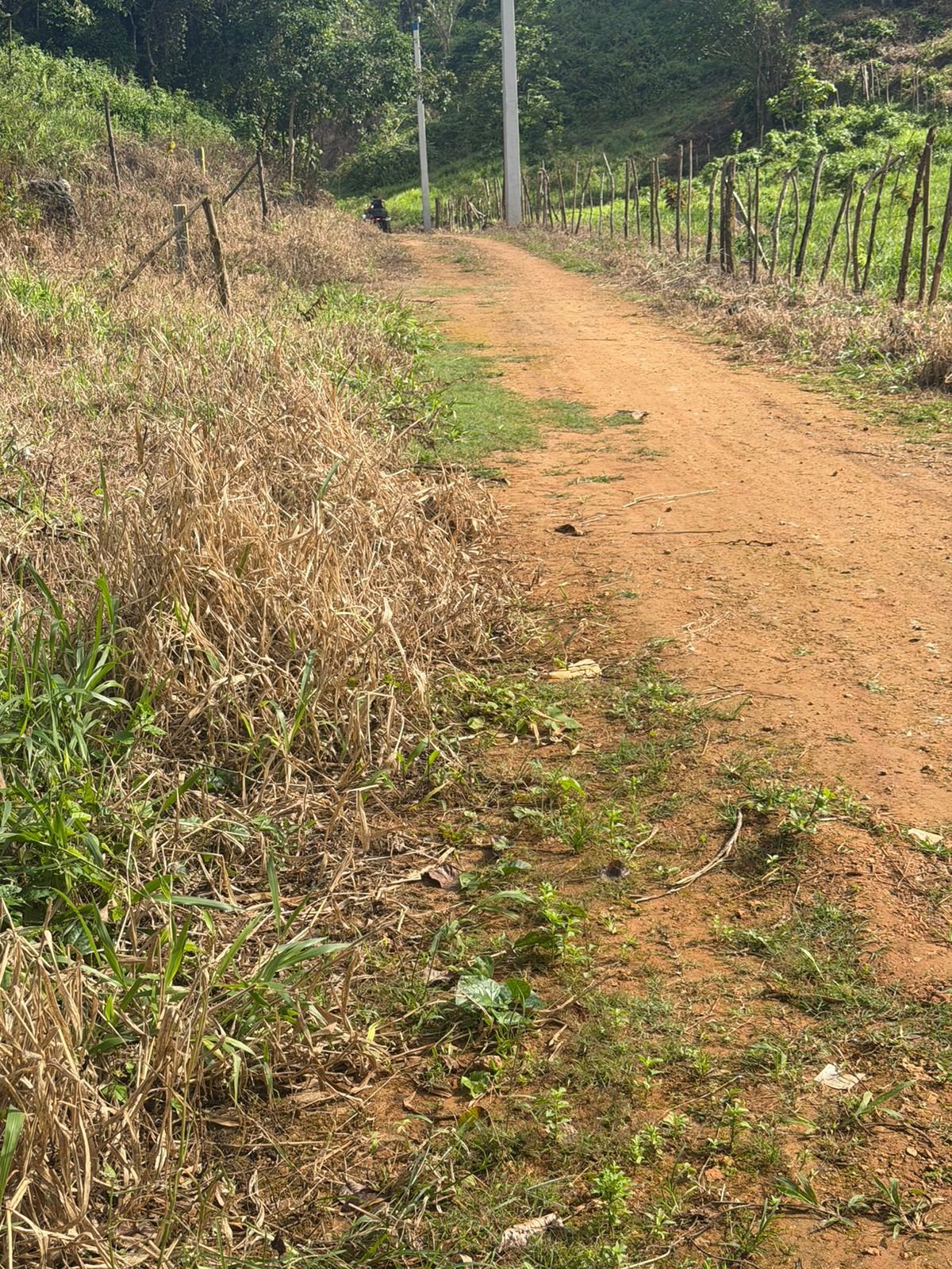 Terreno Loma De La Granja (2)
