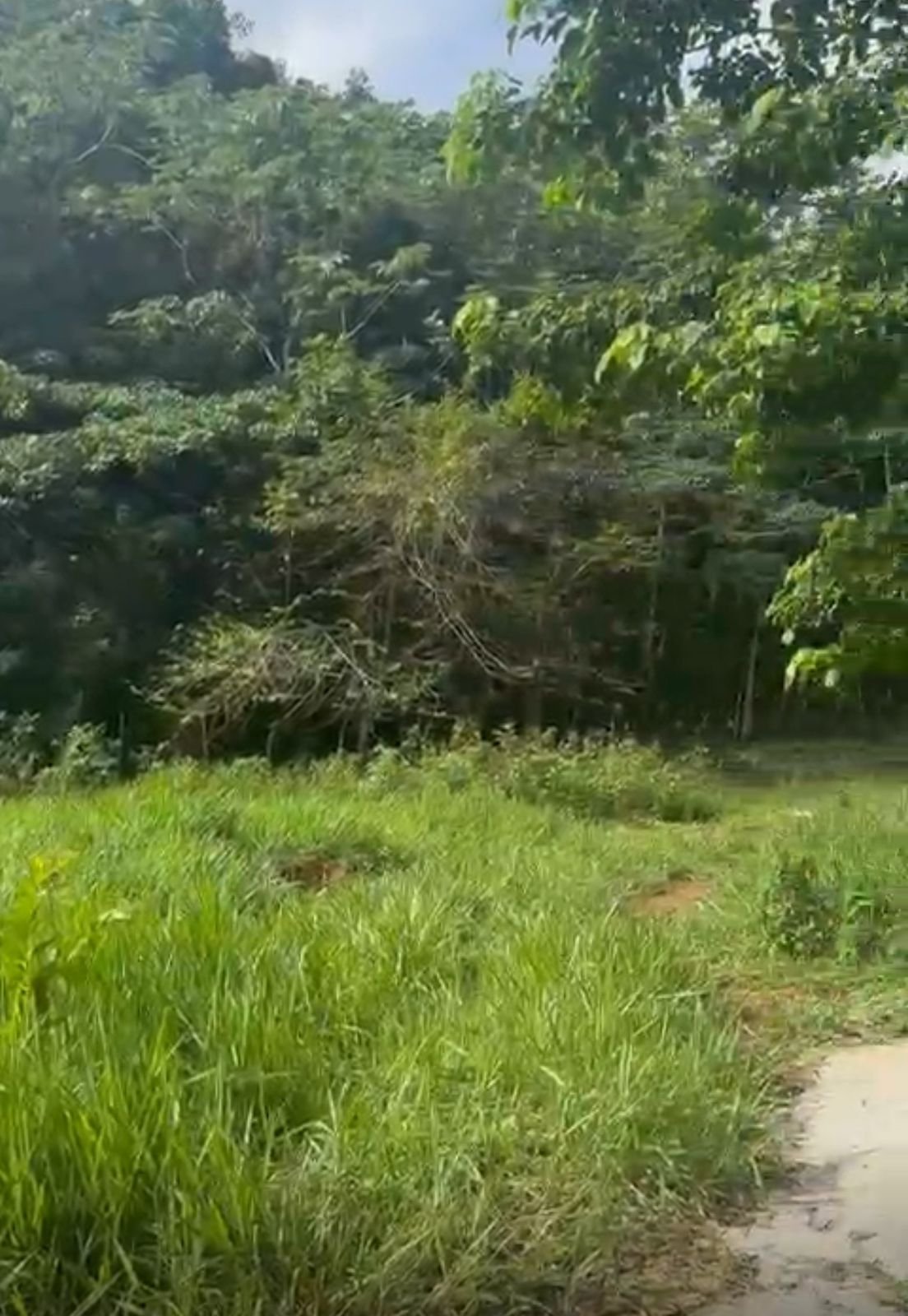 Terreno Loma De La Granja (3)