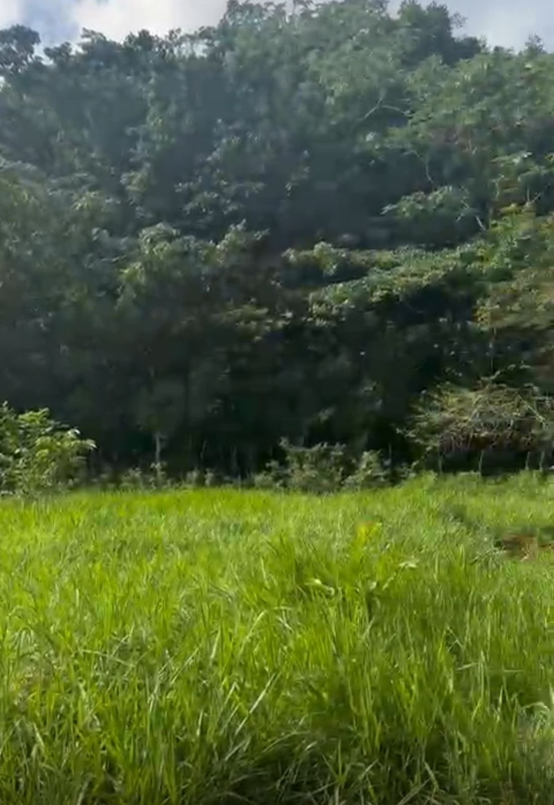 Terreno Loma De La Granja (5)