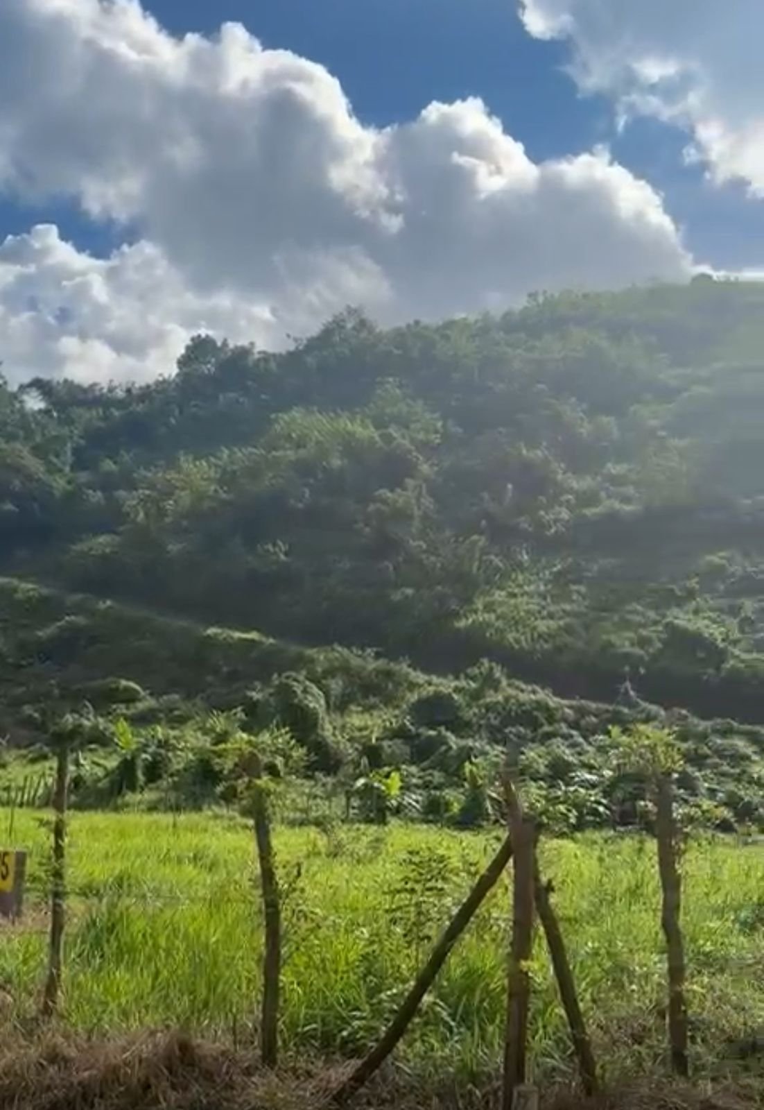 Terreno Loma De La Granja (6)