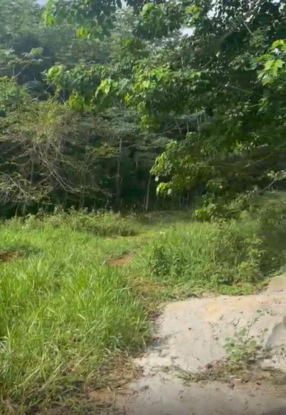 Terreno Loma De La Granja (8)