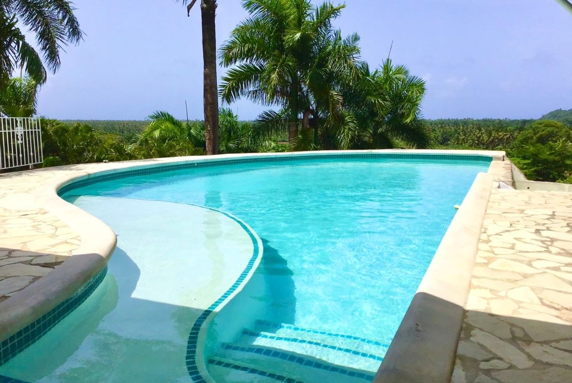 Piscina tropical con palmeras y vistas panorámicas