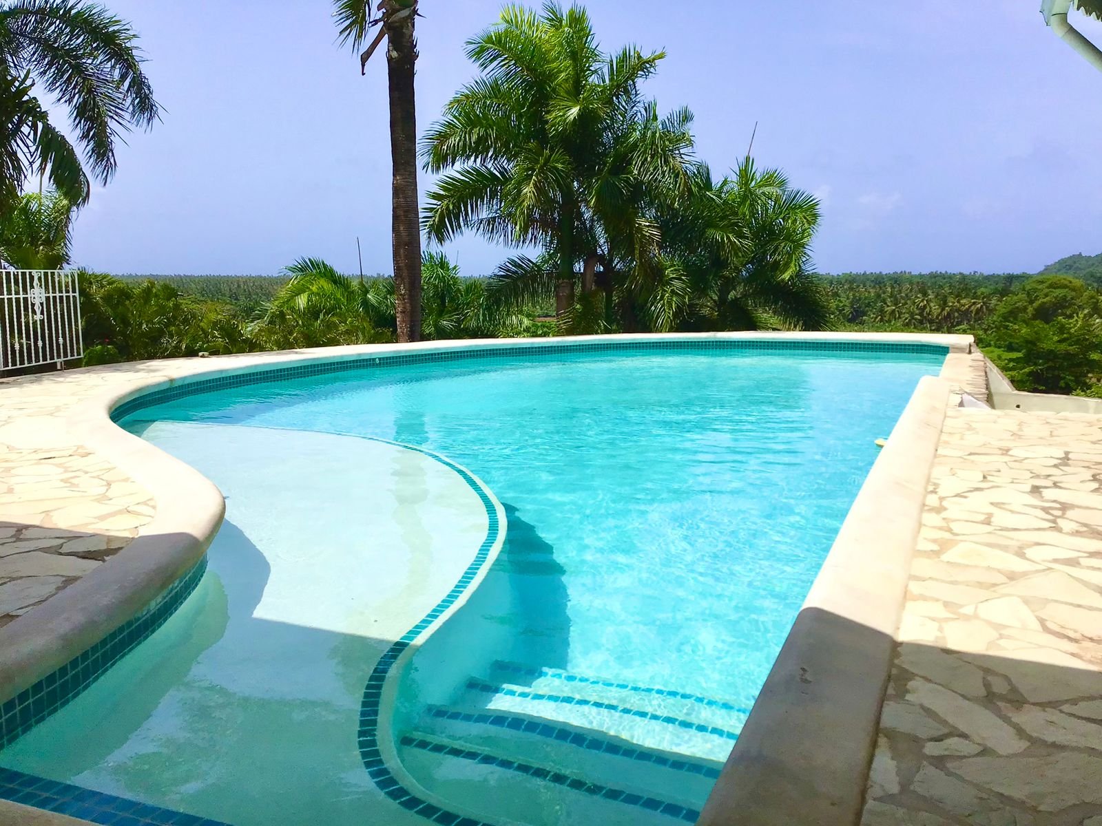 Villa Vista al Mar (13) Piscina tropical con palmeras y vistas panorámicas