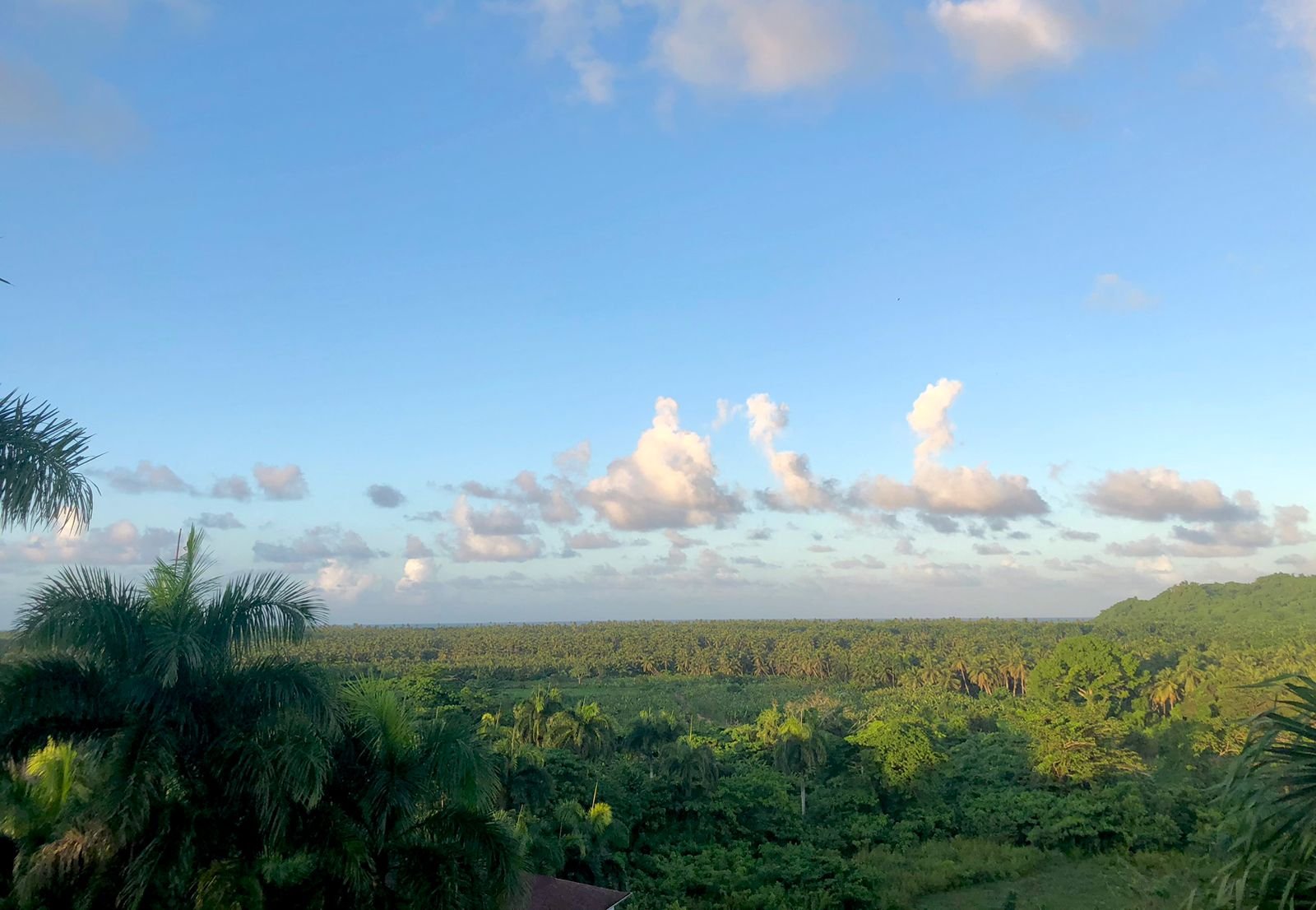 Villa Vista al Mar (16) Paisaje tropical con palmeras y cielo azul