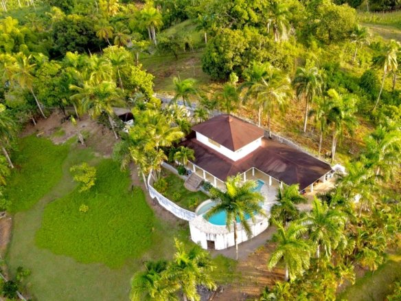 Casa tropical con piscina rodeada de palmeras