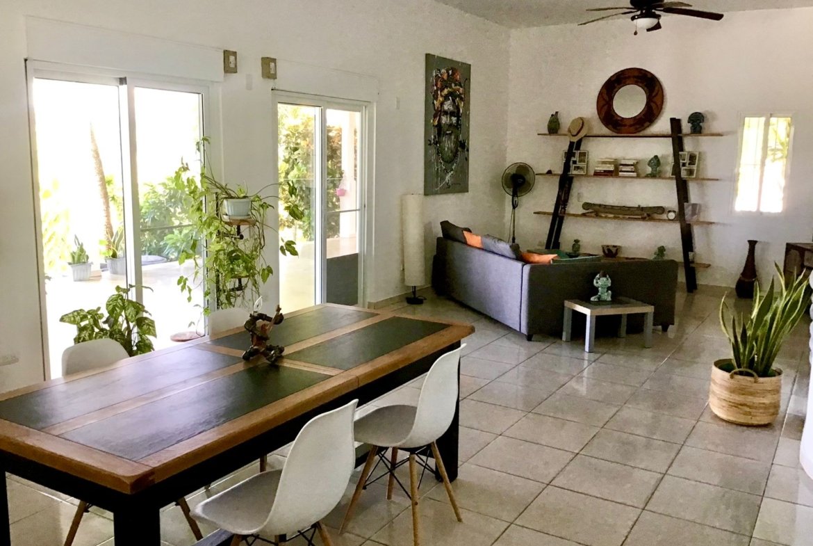 Salón-comedor moderno con luz natural y plantas