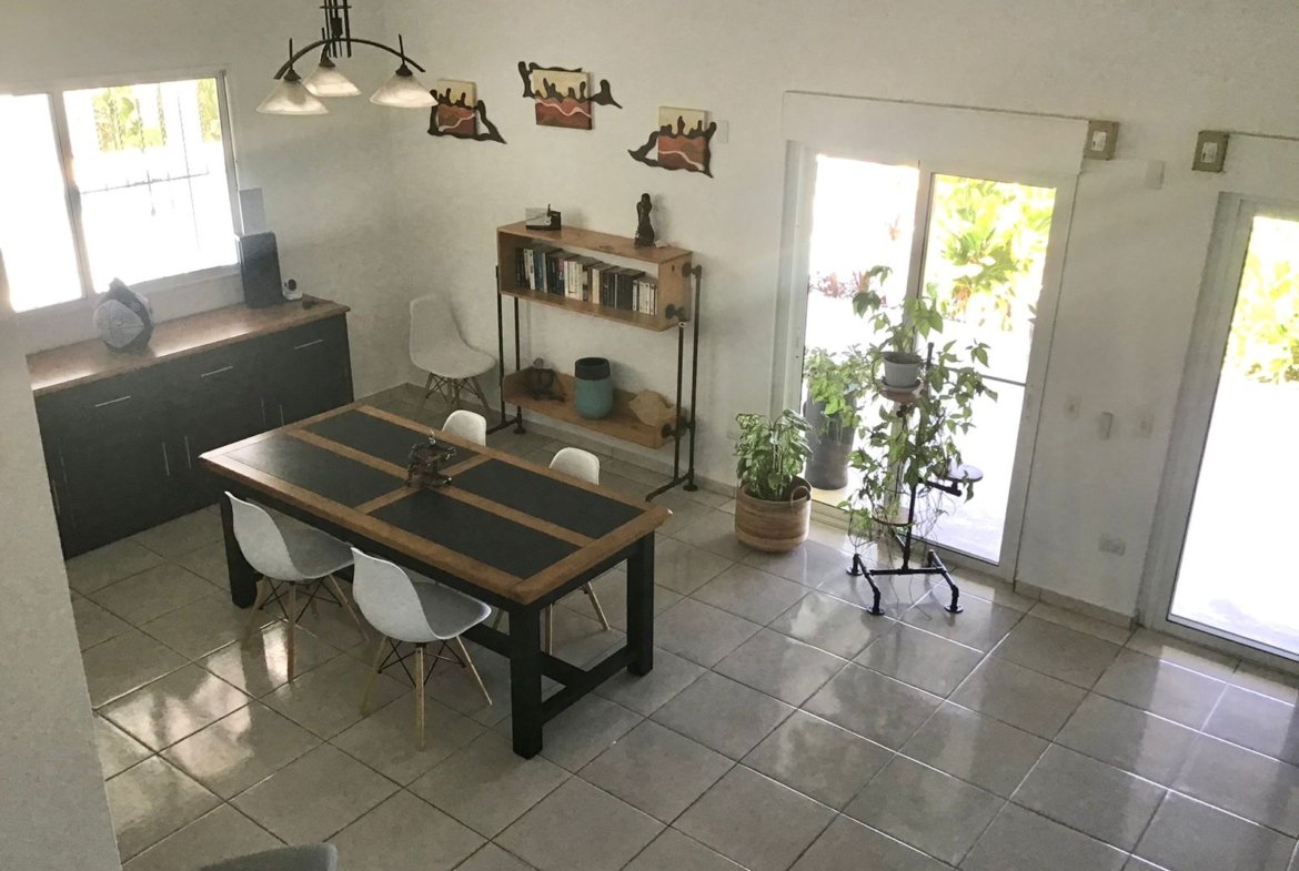 Comedor moderno con mesa de madera y plantas