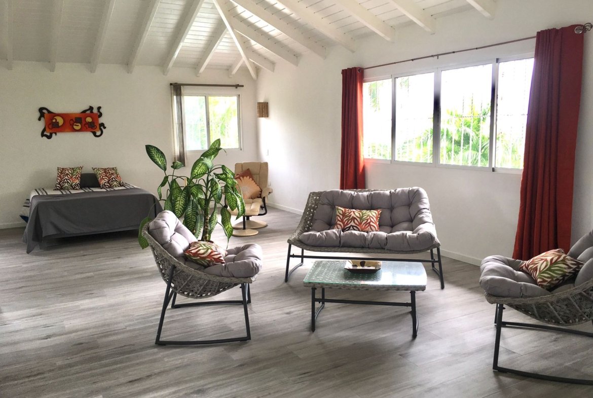 Salón luminoso con muebles de mimbre y planta