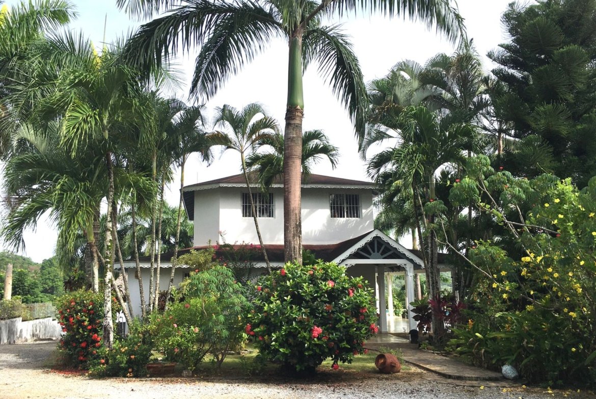 Casa tropical blanca rodeada de palmeras y jardín