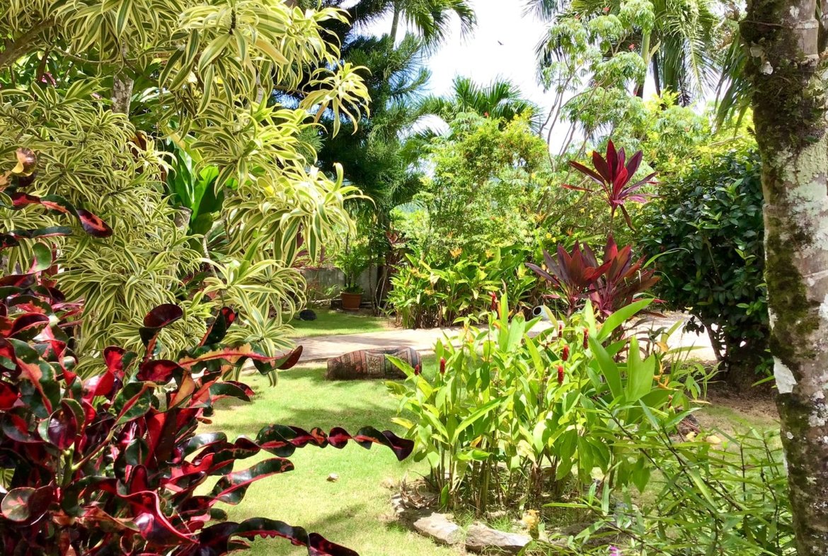 Jardín tropical exuberante con palmeras y plantas coloridas