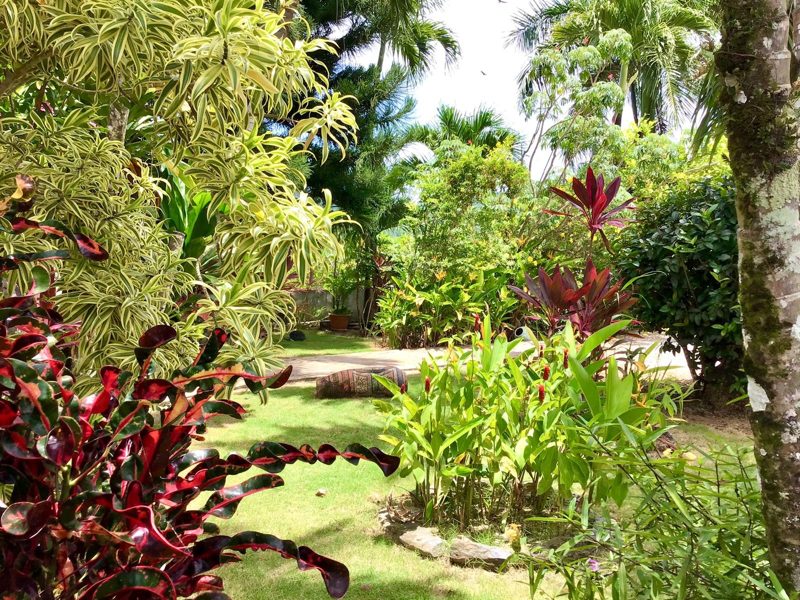 Villa Vista al Mar (7) JardĂn tropical exuberante con palmeras y plantas coloridas