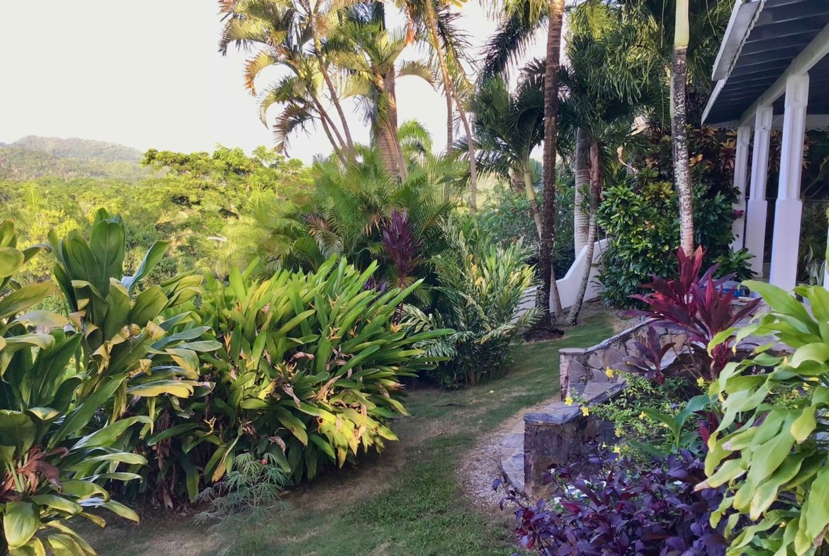 Jardín tropical con palmeras junto a una casa