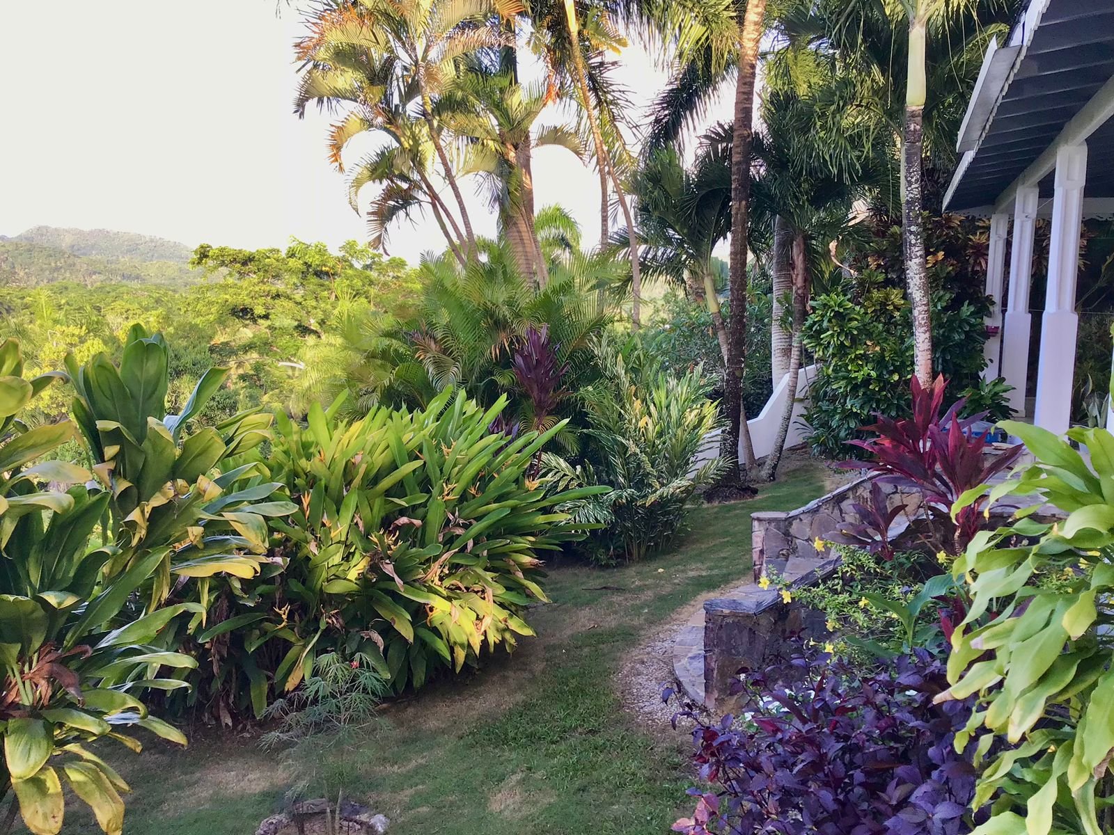Villa Vista al Mar (8) JardĂn tropical con palmeras junto a una casa