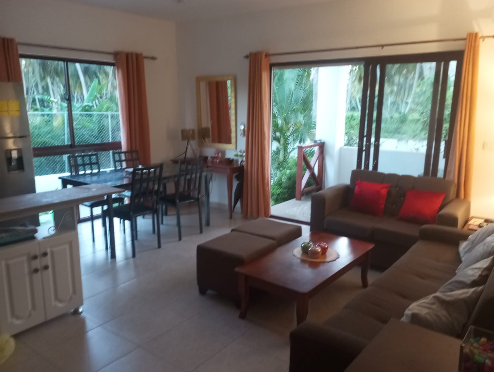 Apartamento en limon (8) Salón comedor luminoso con terraza y sofá marrón