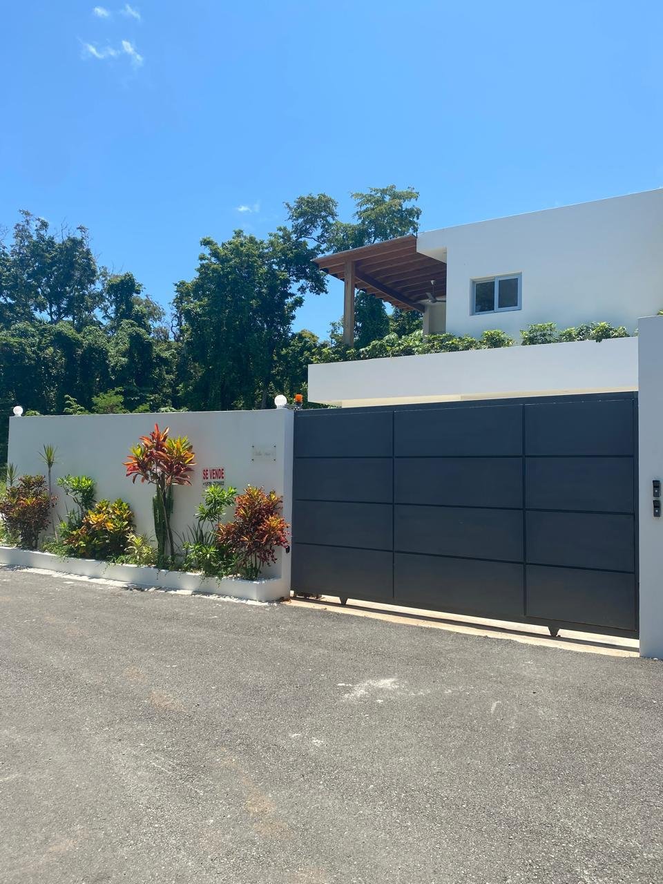 Casa moderna con puerta negra y jardín tropical