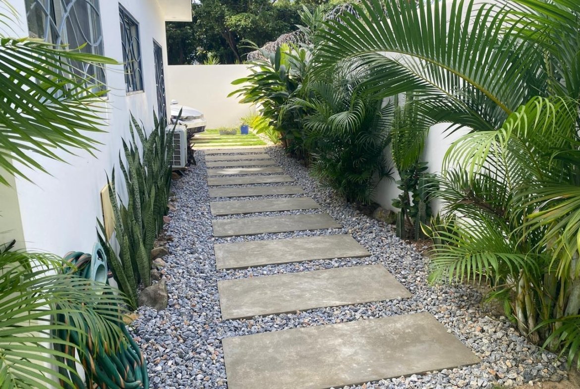 Sendero de losas en jardín tropical lateral