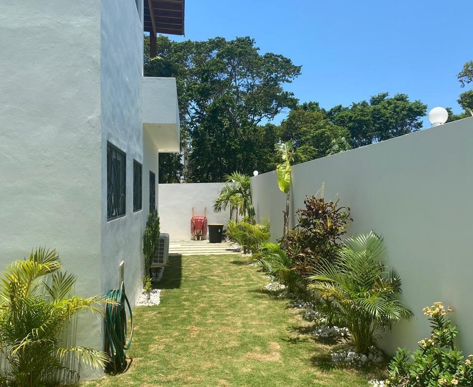 Jardín lateral con césped y plantas tropicales