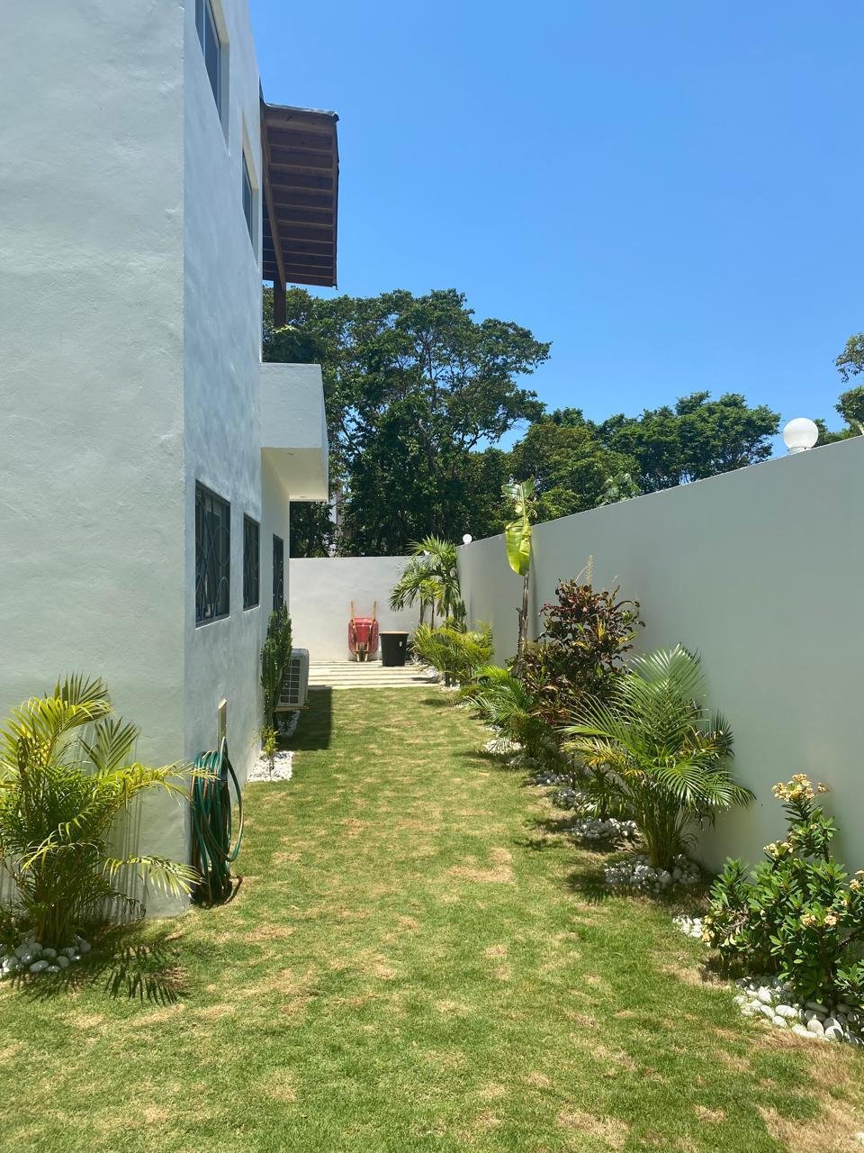 Jardín lateral con césped y plantas tropicales