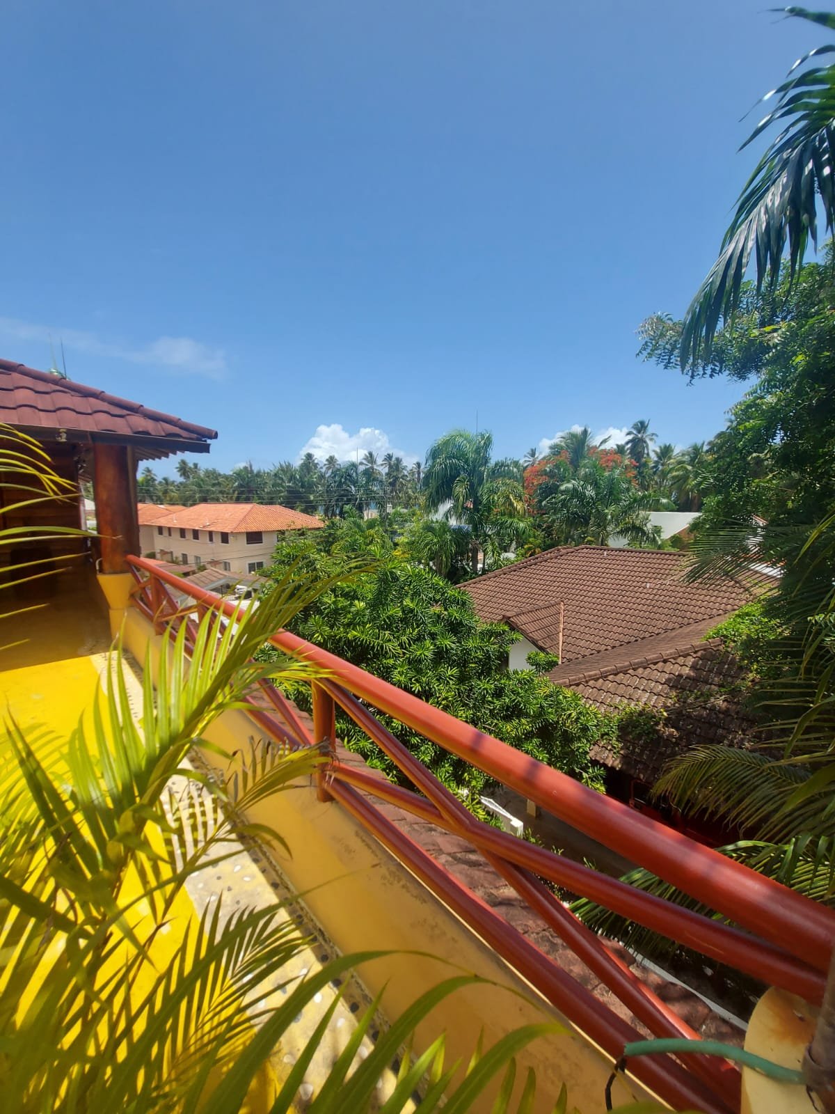 Balcón tropical con vistas a palmeras y tejados