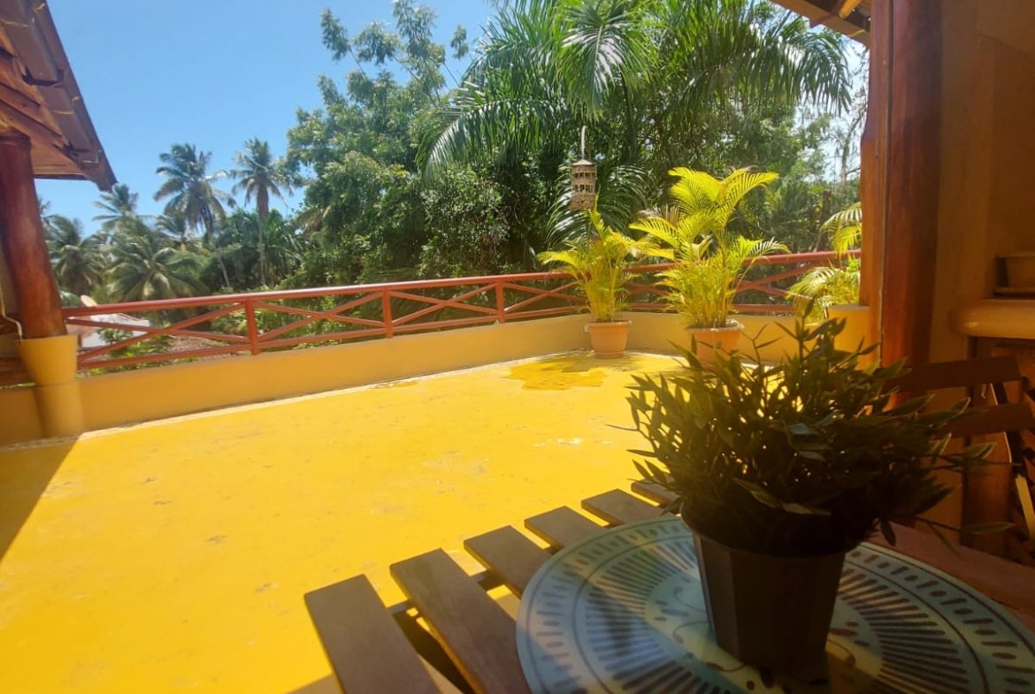 Terraza soleada con plantas y palmeras tropicales
