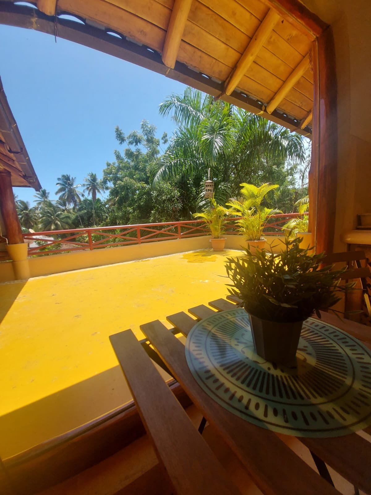 Terraza soleada con plantas y palmeras tropicales