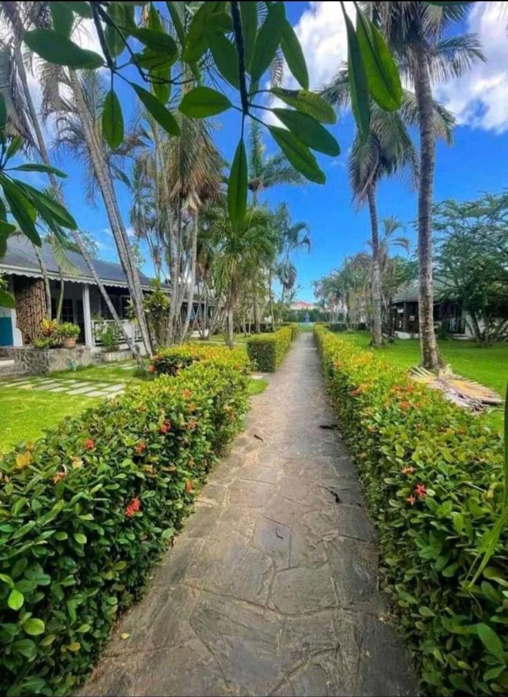 Sendero tropical con palmeras y setos verdes