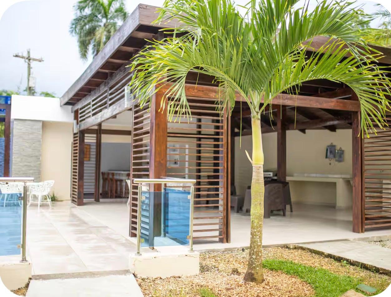 Terraza moderna con pérgola de madera y palmera