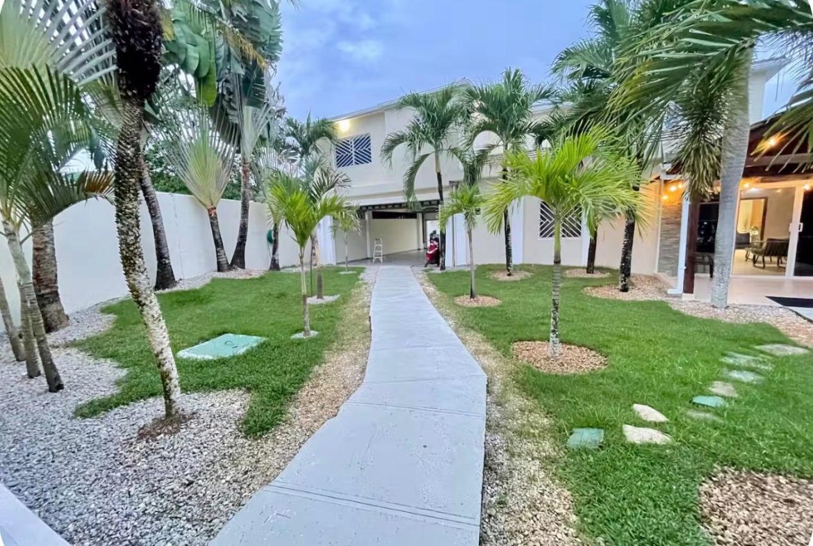 Jardín tropical con palmeras frente a casa moderna