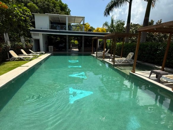 Modern pool next to tropical house with palm trees