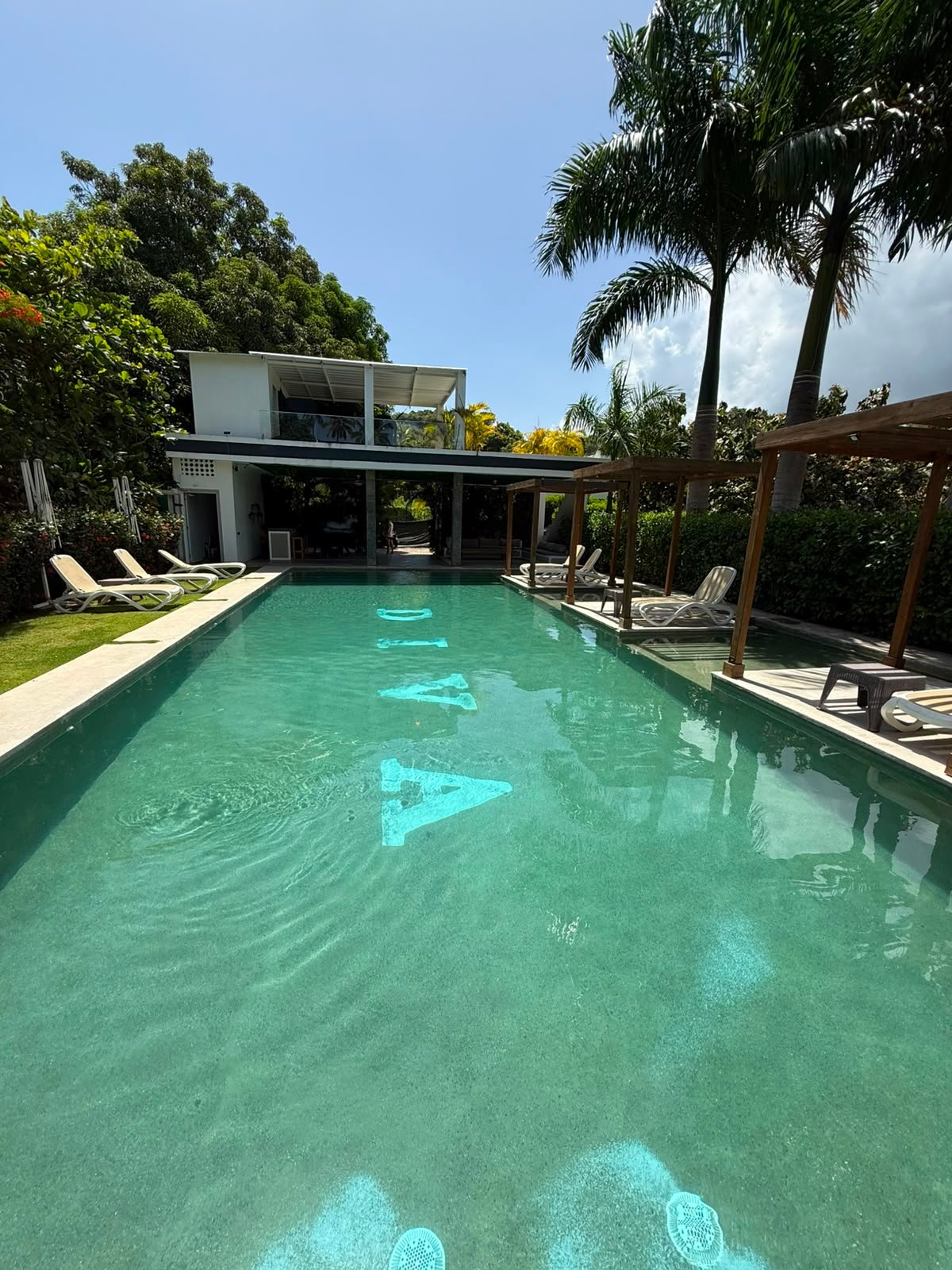 Modern pool next to tropical house with palm trees