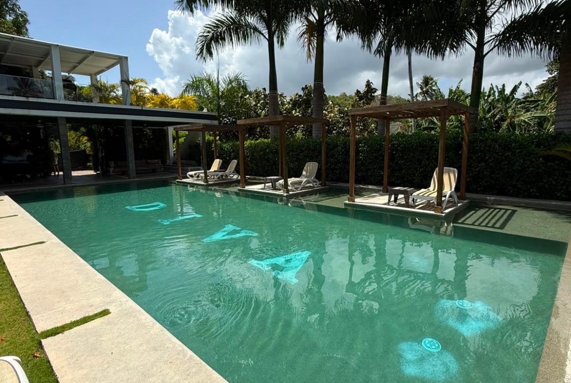 Piscina moderna con palmeras y tumbonas