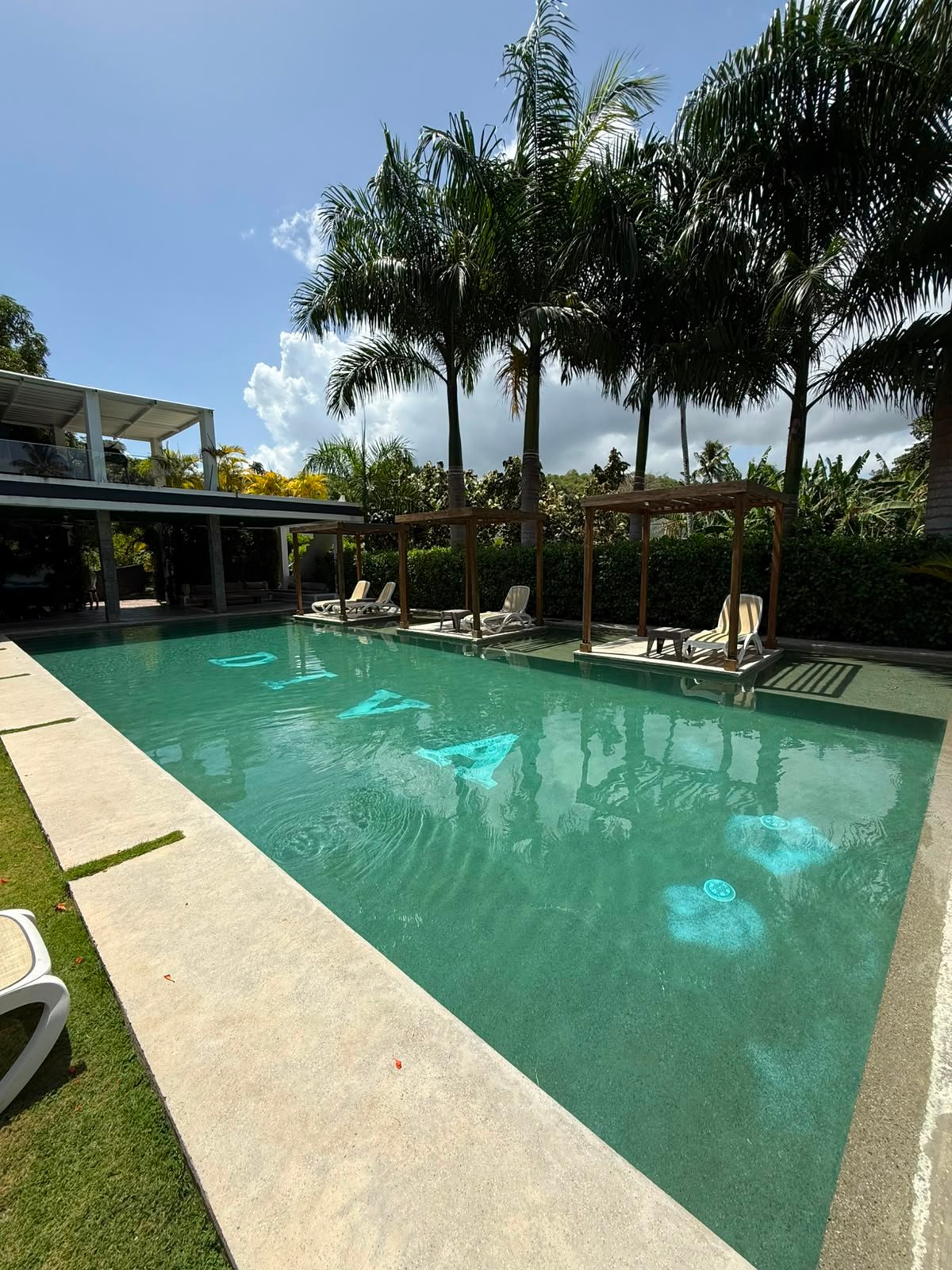 Piscina moderna con palmeras y tumbonas