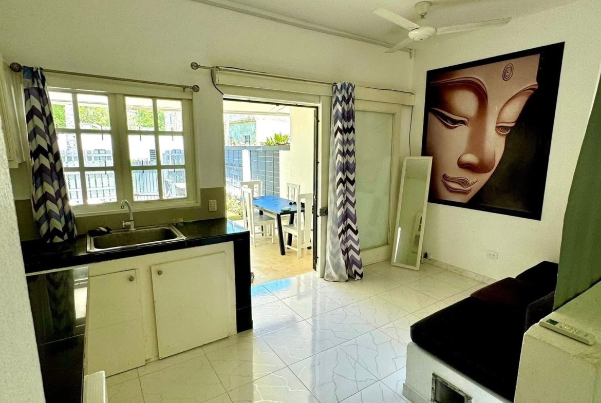 Salón luminoso con cocina y terraza exterior