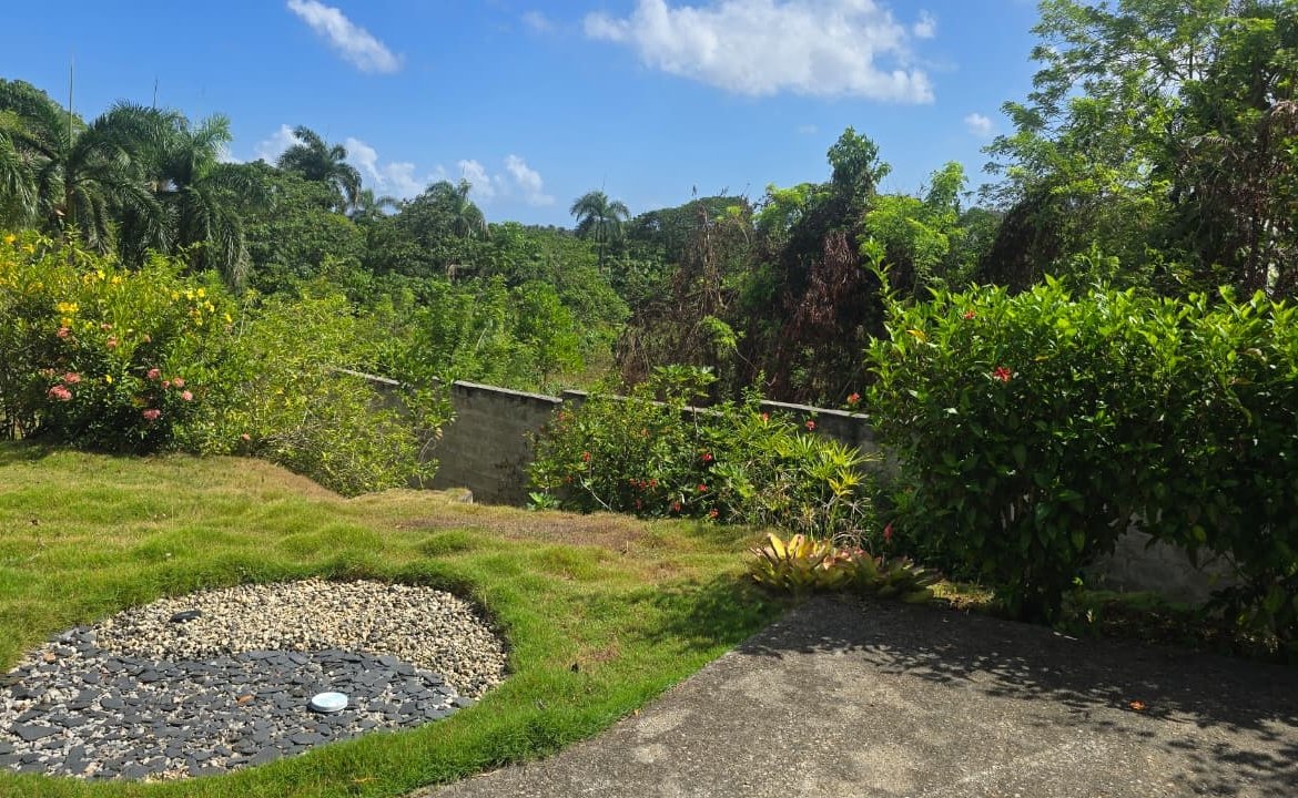 Jardín tropical con palmeras, flores y césped bajo cielo azul