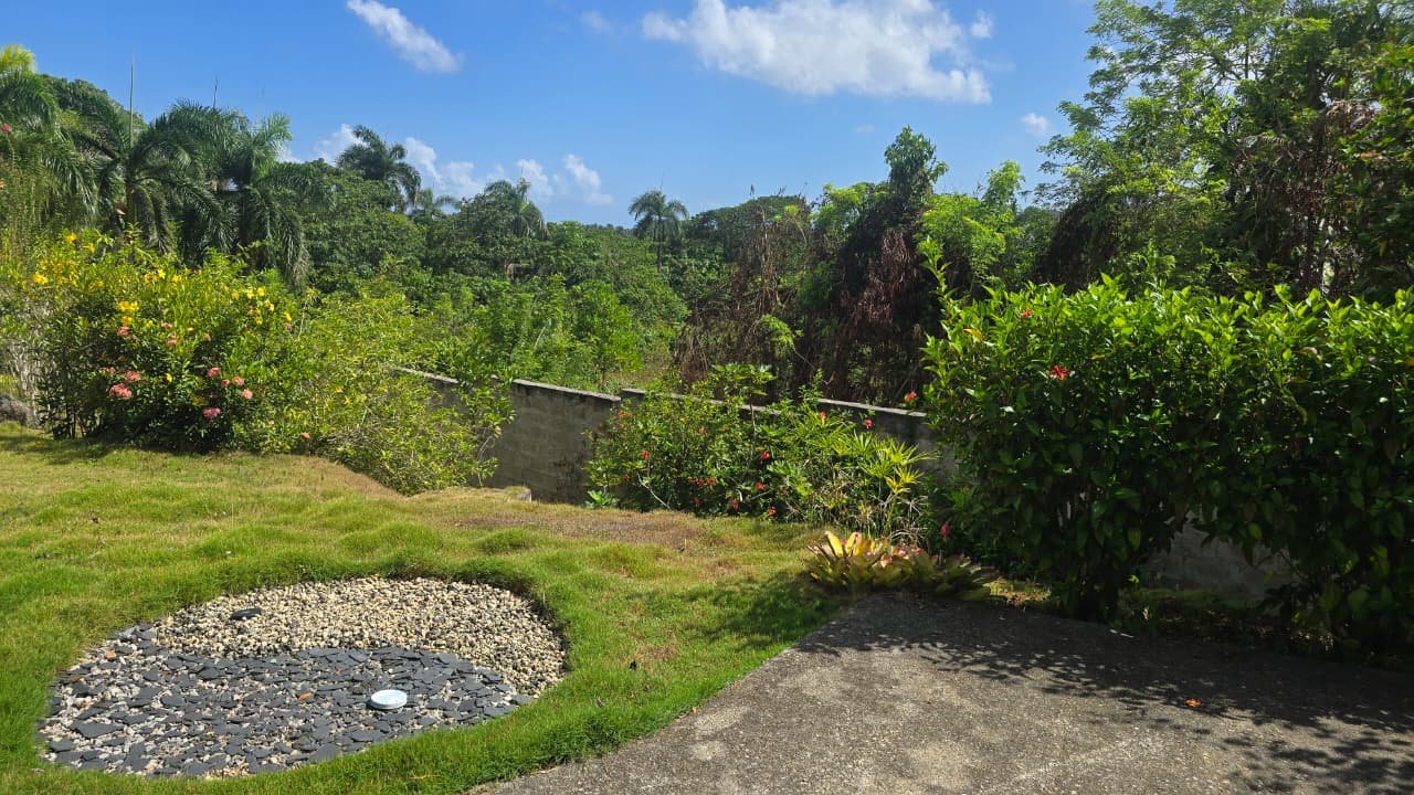 Villa en el limon (15) JardÃn tropical con palmeras, flores y césped bajo cielo azul