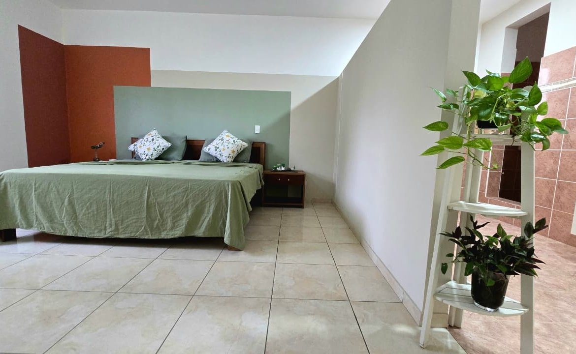 Dormitorio amplio con cama verde, plantas y baño anexo
