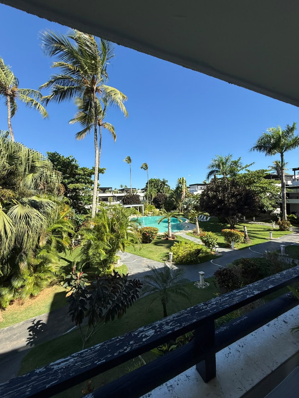 Apartamento Aligio (19) Jardín tropical con palmeras y piscina bajo cielo azul