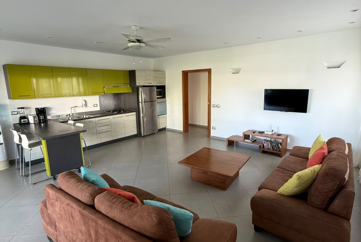 Salón diáfano con cocina abierta, sofás marrones y televisión