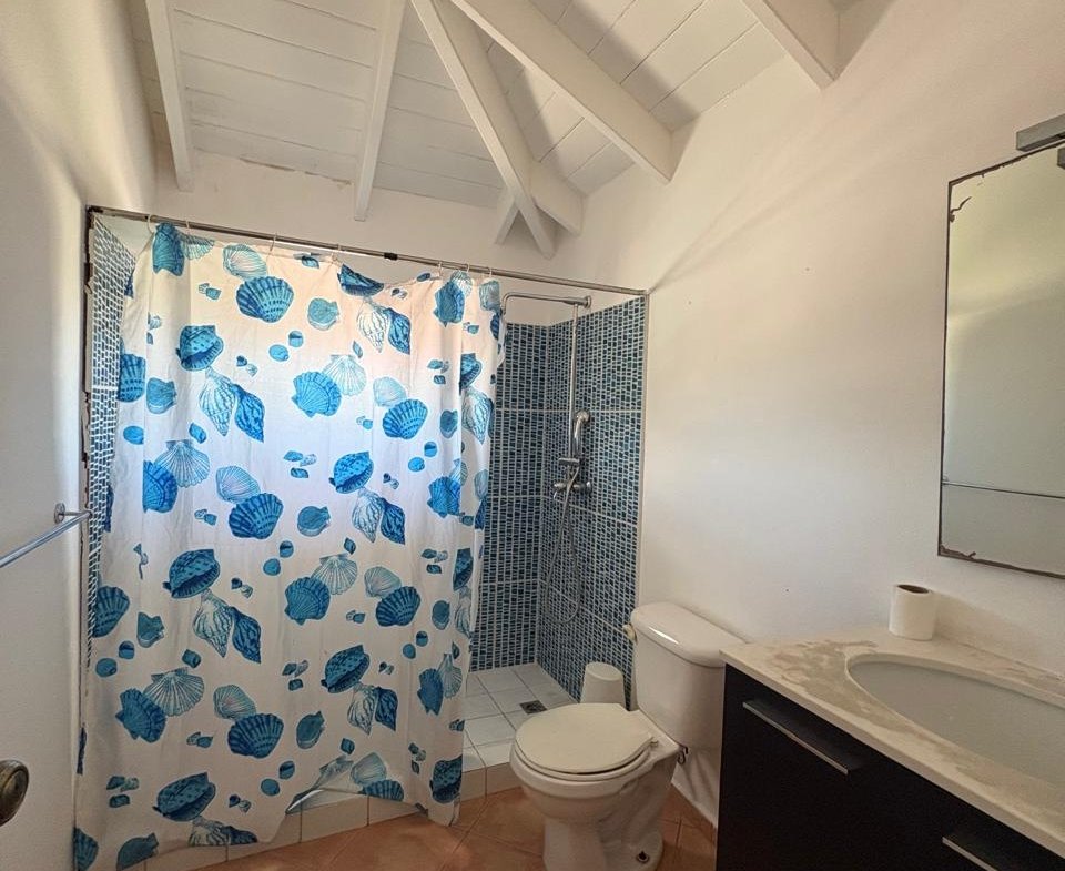 Baño con cortina de conchas y techo abuhardillado