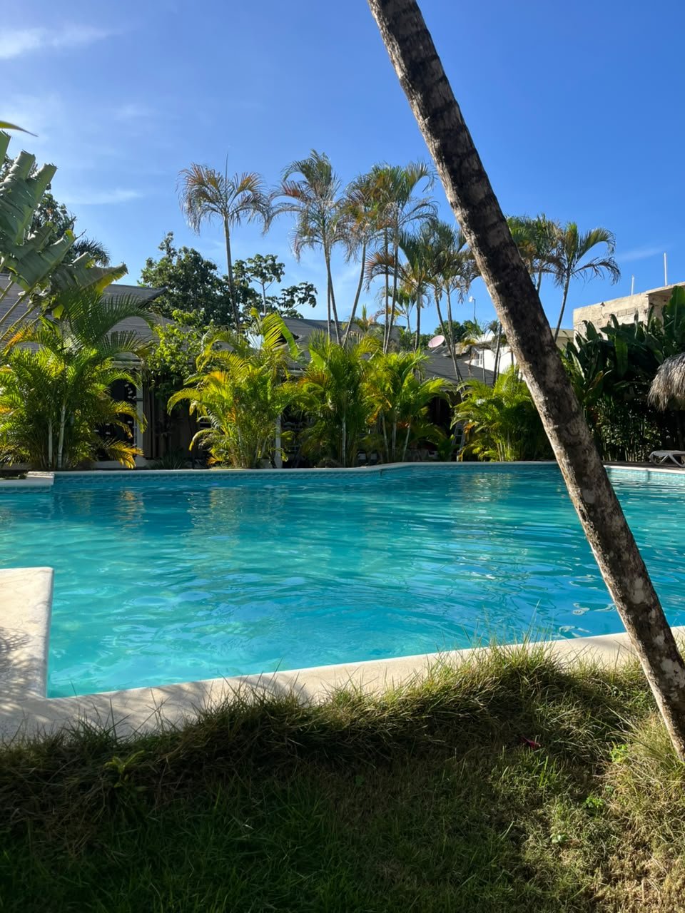 India Canela Piscina turchese circondata da palme sotto un cielo blu