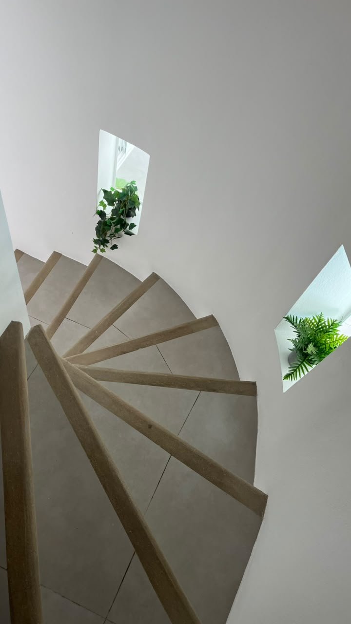 Escalera de caracol moderna con plantas en nichos triangulares