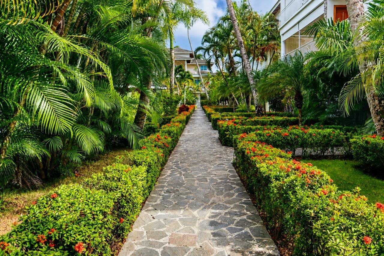 jardin secret (1)